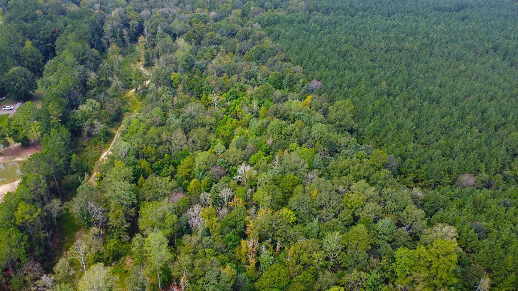 14.8 Acres of Recreational Land for Sale in Columbia, Mississippi