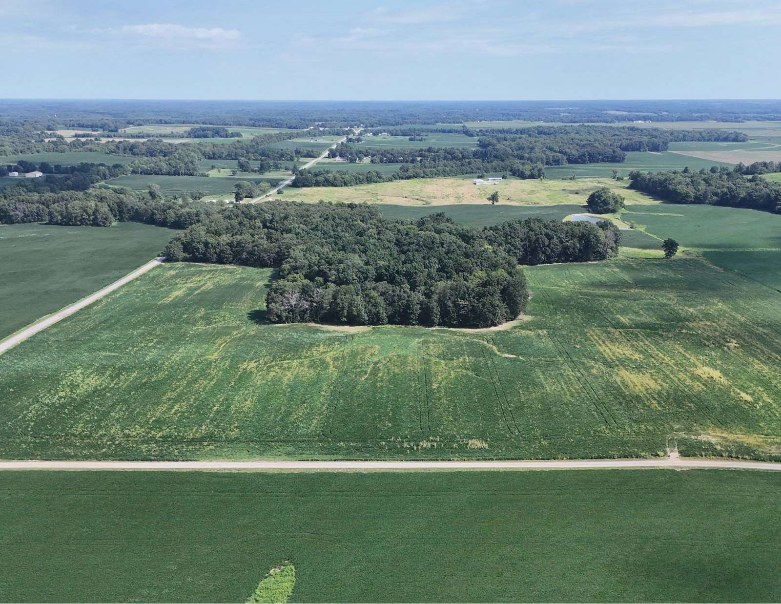 42 Acres of Land for Auction in Bluford, Illinois