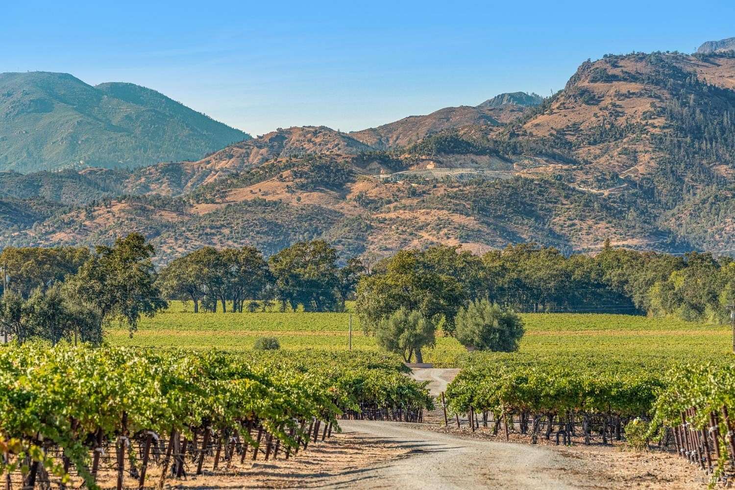 11.5 Acres of Land with Home for Sale in St. Helena, California