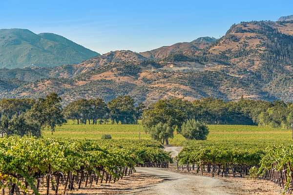 11.5 Acres of Land with Home for Sale in St. Helena, California