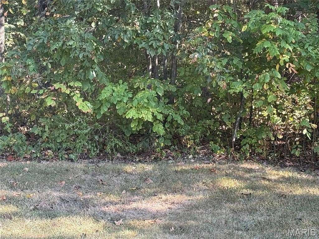 0.03 Acres of Residential Land for Sale in Bonne Terre, Missouri