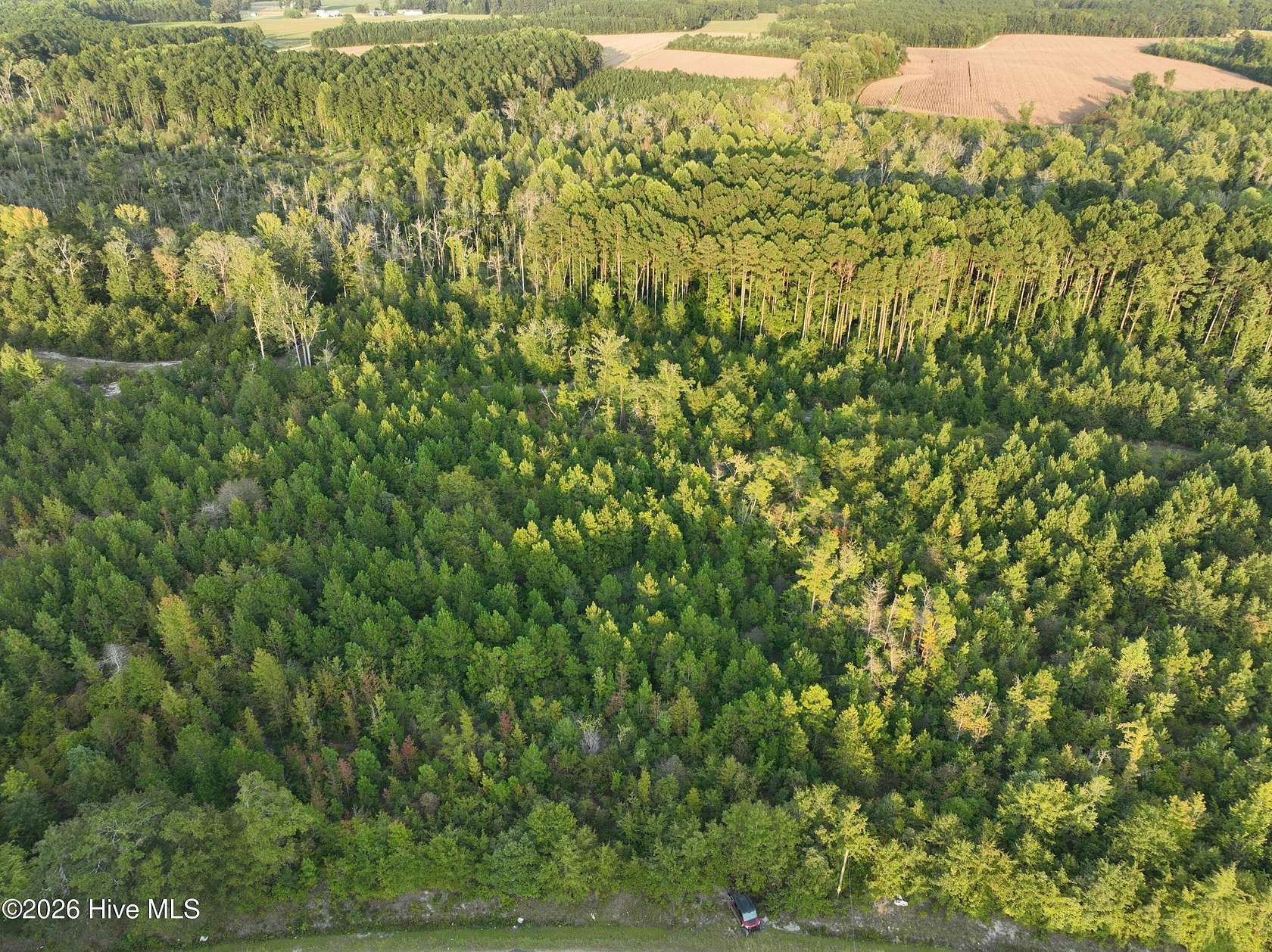62.2 Acres of Recreational Land for Sale in Kenly, North Carolina