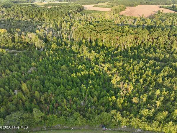 62.2 Acres of Recreational Land for Sale in Kenly, North Carolina