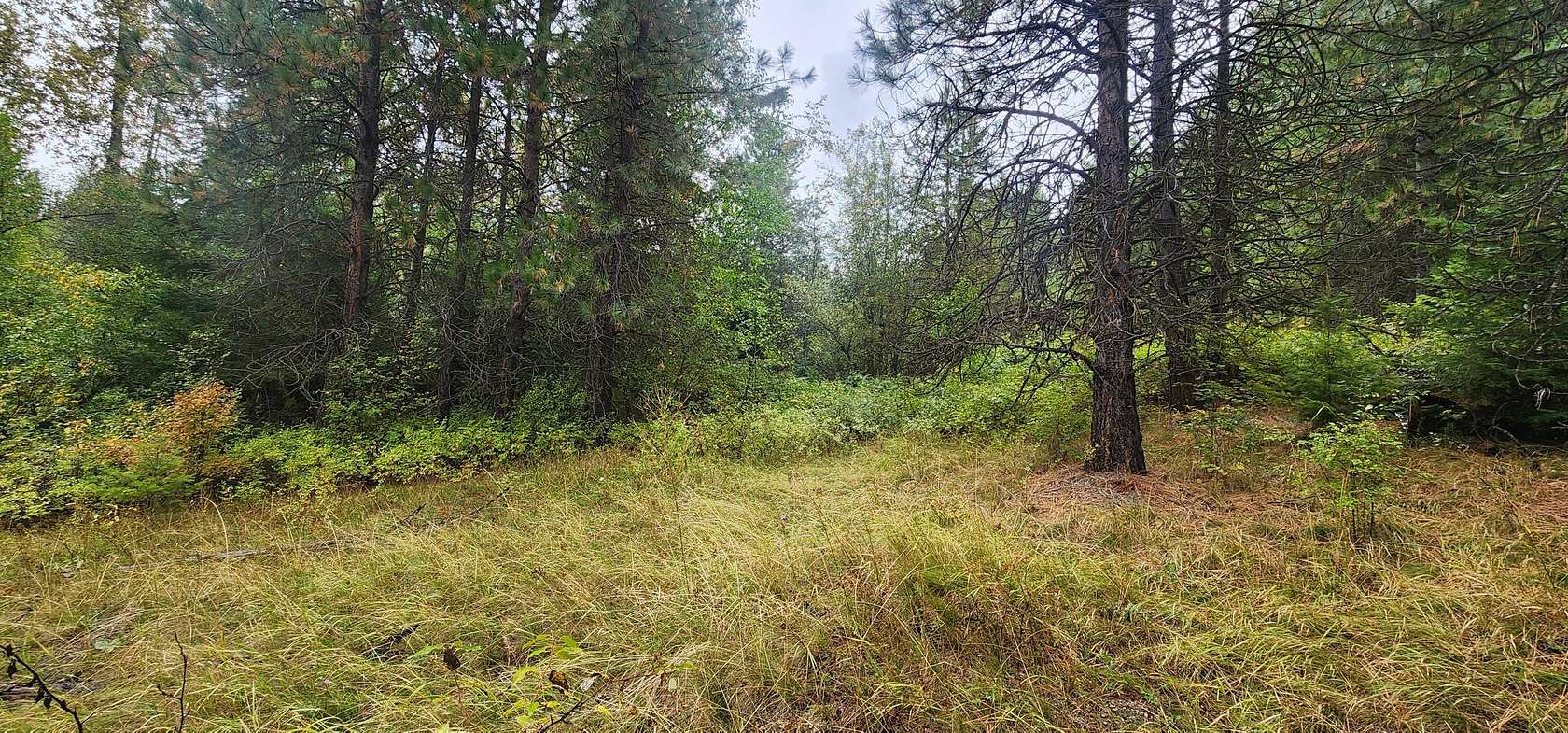 80 Acres of Land for Sale in Colville, Washington