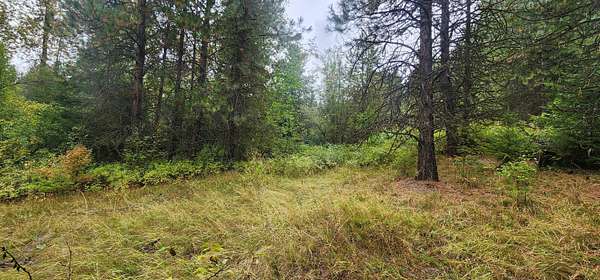 80 Acres of Land for Sale in Colville, Washington