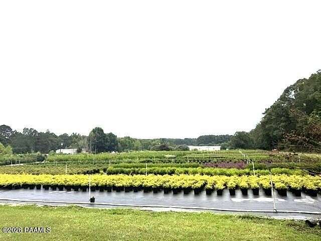 29 Acres of Land for Sale in Glenmora, Louisiana