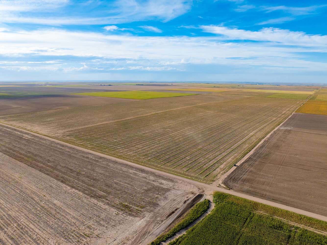 320 Acres of Land for Sale in Ovid, Colorado