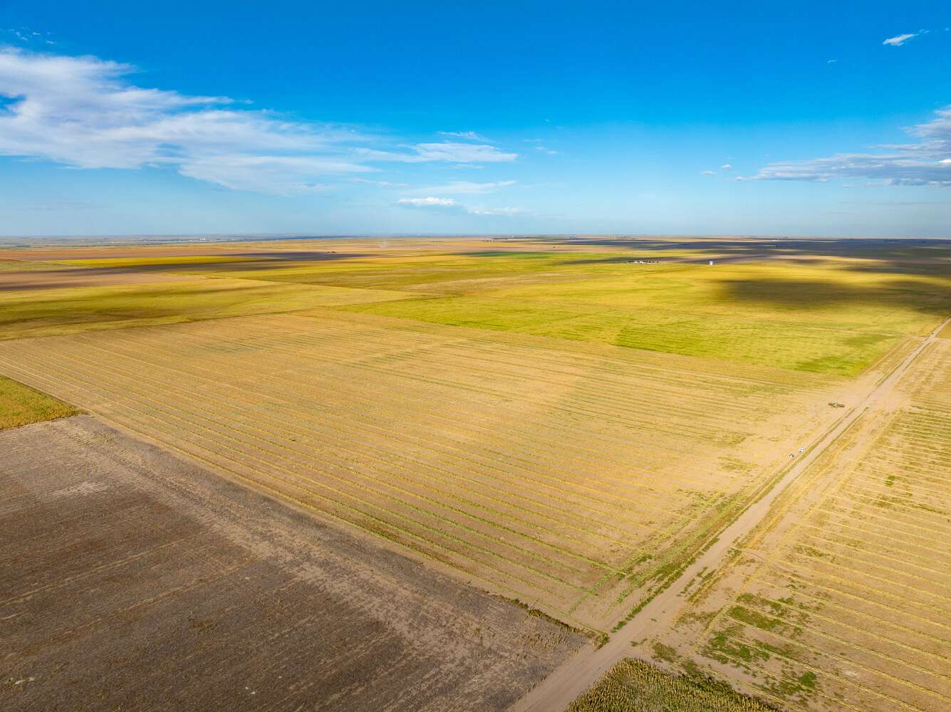162 Acres of Recreational Land for Sale in Ovid, Colorado