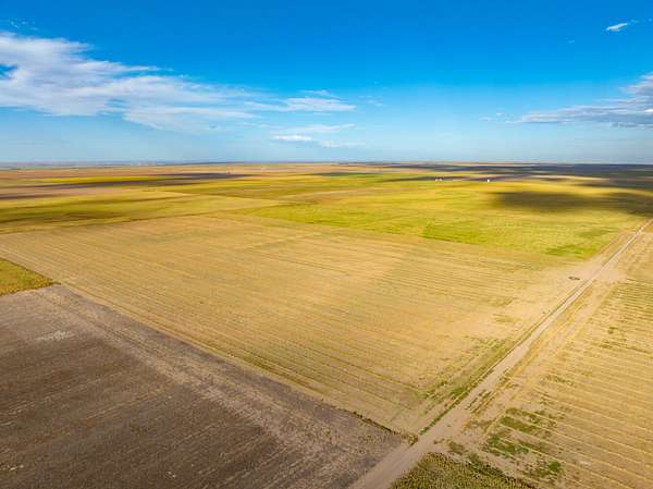 162 Acres of Recreational Land for Sale in Ovid, Colorado