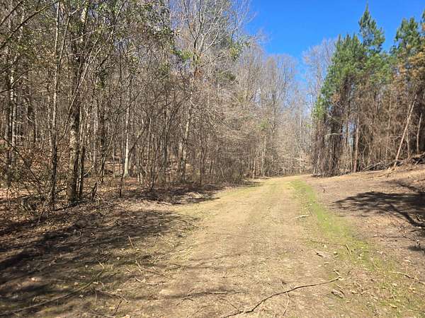 43 Acres of Recreational & Residential Land for Sale in Centreville, Alabama
