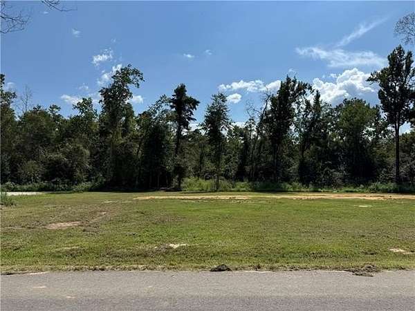 1 Acre of Residential Land for Sale in Springfield, Louisiana