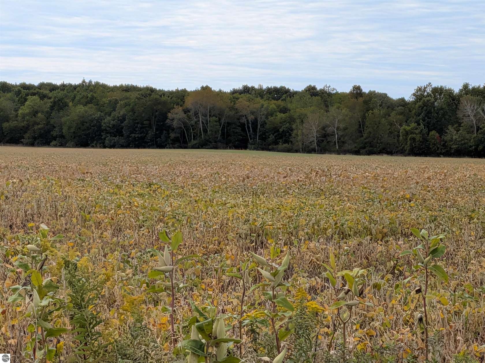 80 Acres of Agricultural Land for Sale in Sumner, Michigan
