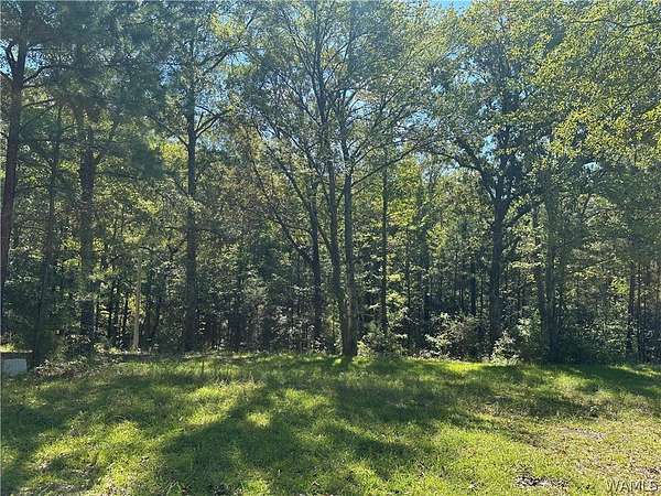 14 Acres of Land for Sale in Vernon, Alabama