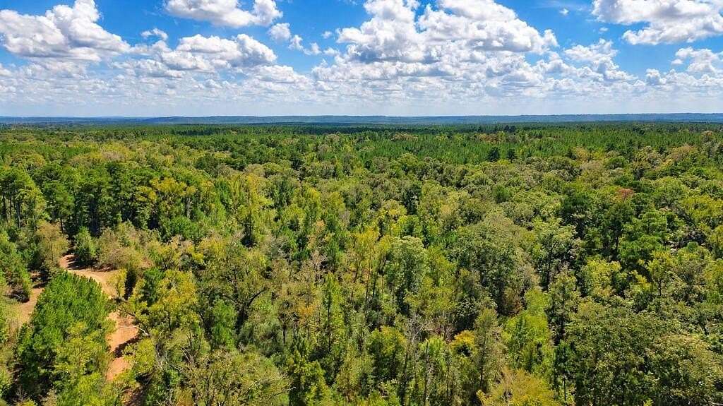 51.1 Acres of Recreational Land for Sale in Alto, Texas