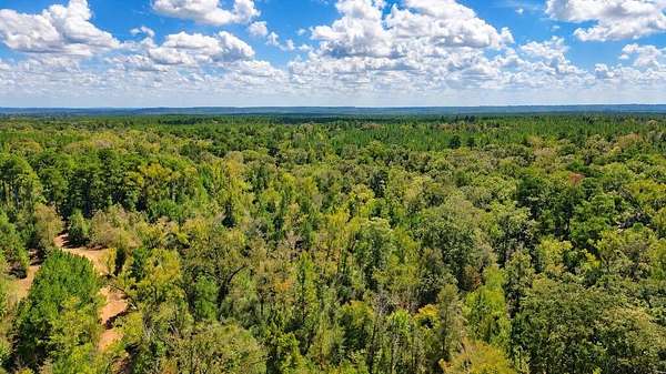 51.1 Acres of Recreational Land for Sale in Alto, Texas