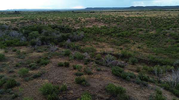 37 Acres of Land for Sale in Merkel, Texas