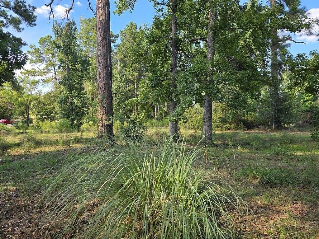 5 Acres of Residential Land for Sale in Jasper, Texas