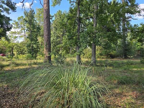 5 Acres of Residential Land for Sale in Jasper, Texas