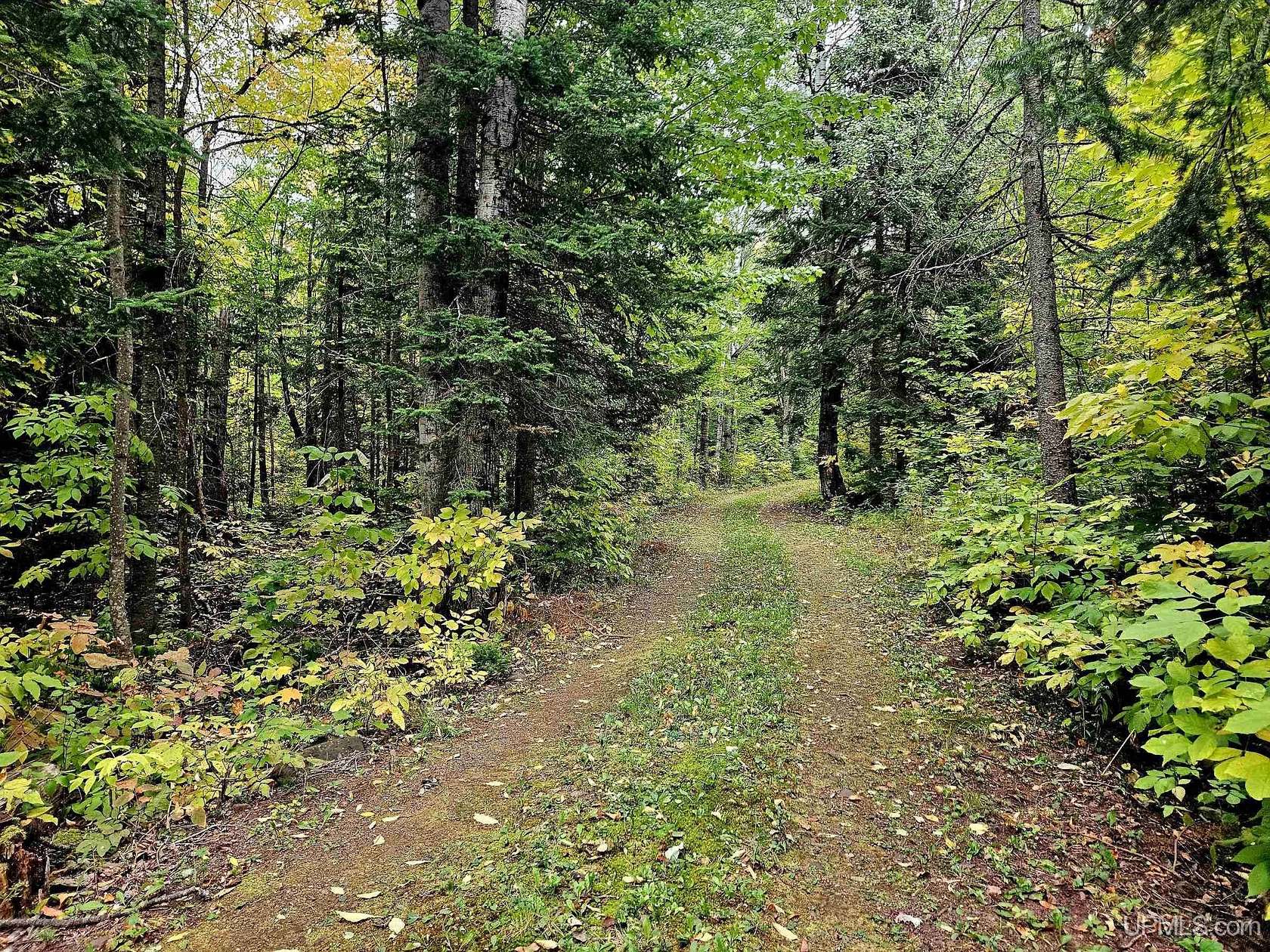 30 Acres of Recreational Land for Sale in Ironwood, Michigan