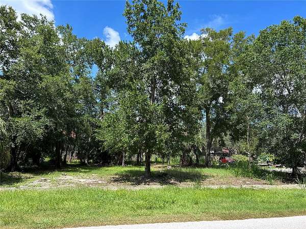0.31 Acres of Residential Land for Sale in Tarpon Springs, Florida