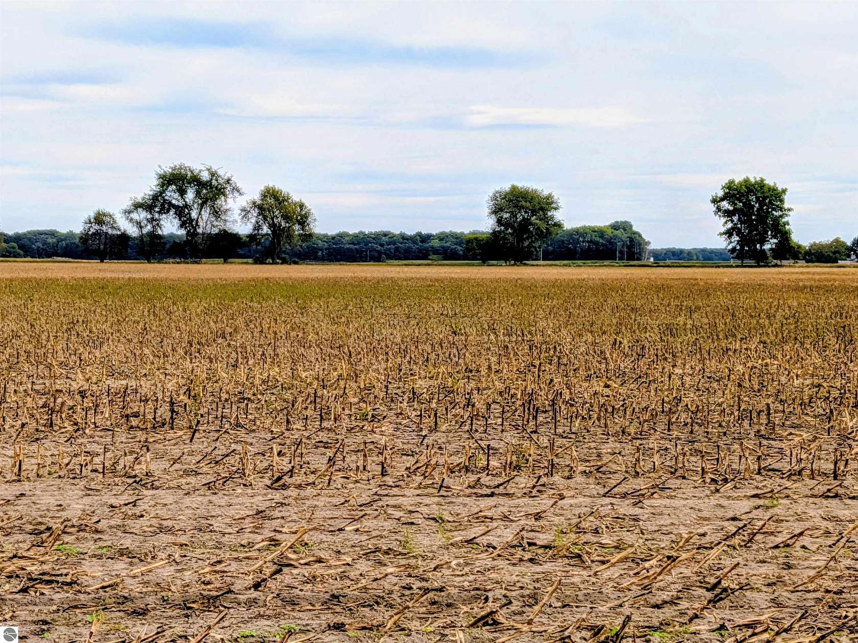 35.2 Acres of Agricultural Land for Sale in Sumner, Michigan