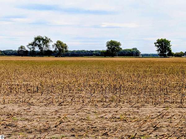 35.2 Acres of Agricultural Land for Sale in Sumner, Michigan
