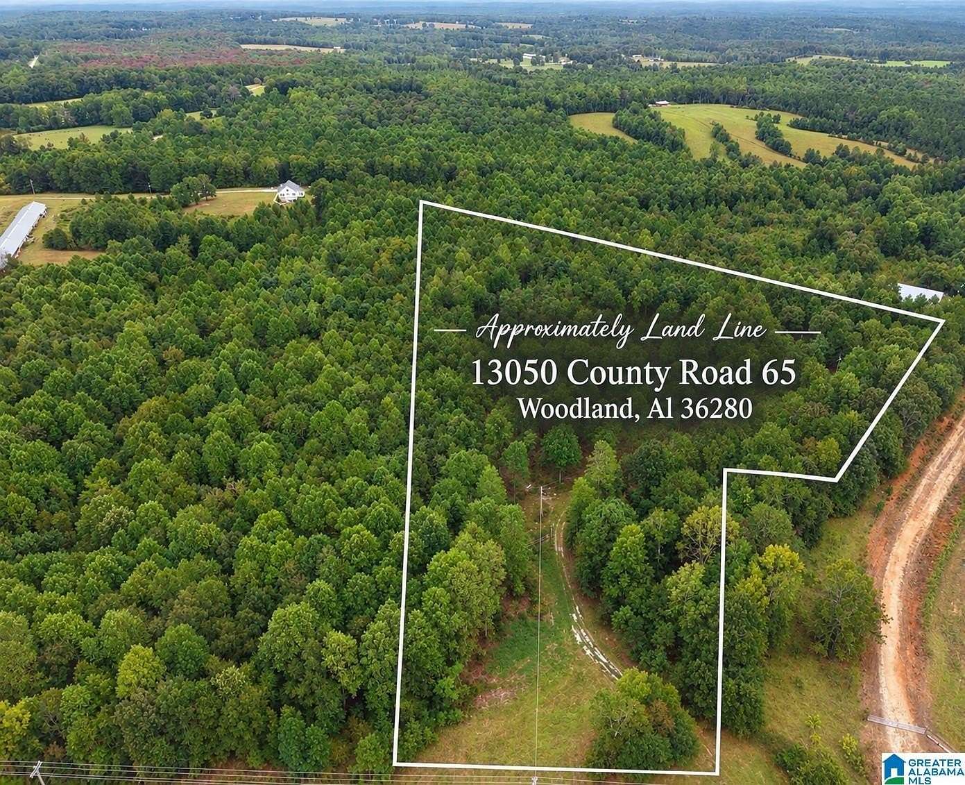 12 Acres of Land for Sale in Woodland, Alabama