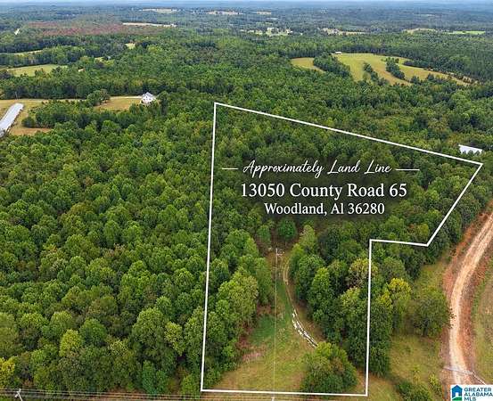 12 Acres of Land for Sale in Woodland, Alabama