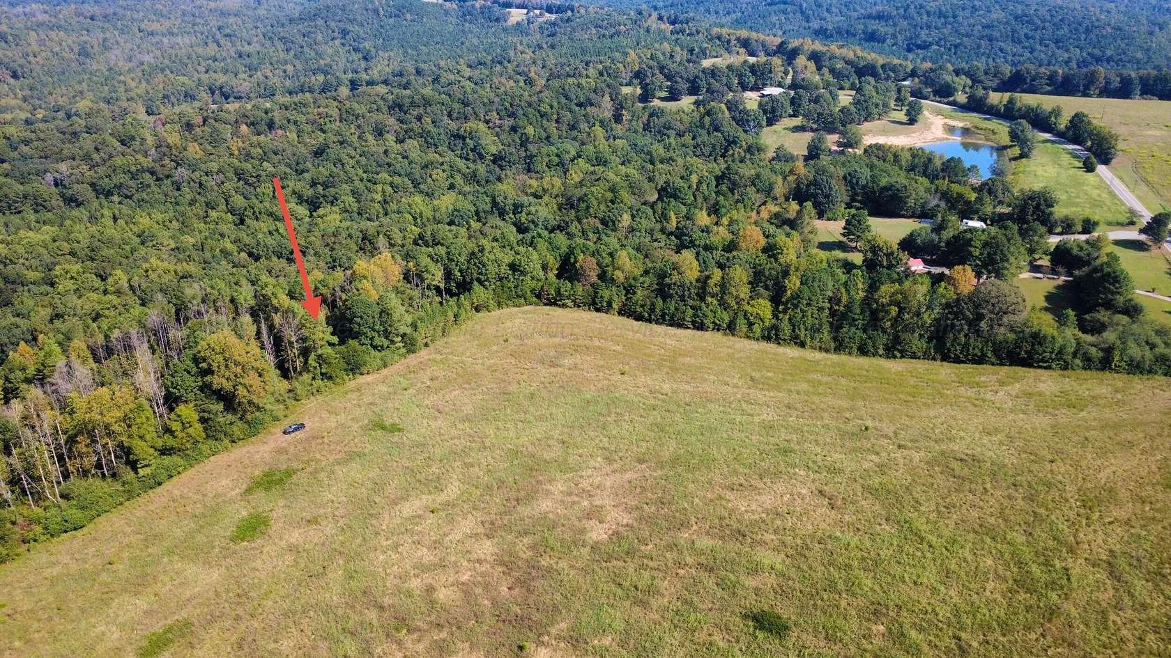 10 Acres of Recreational Land for Sale in Houston, Alabama
