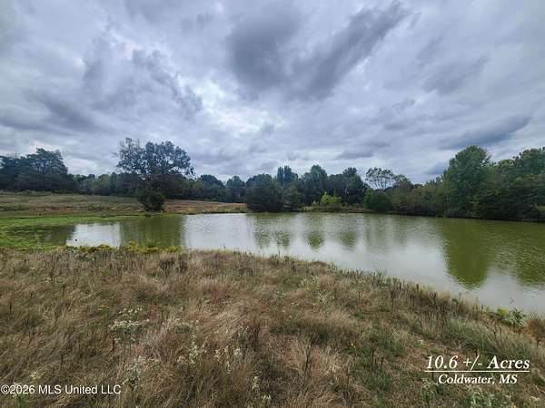 10.6 Acres of Land for Sale in Coldwater, Mississippi