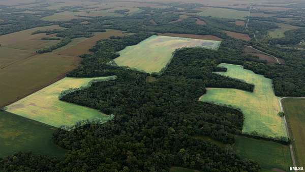 127 Acres of Land for Sale in Monmouth, Illinois