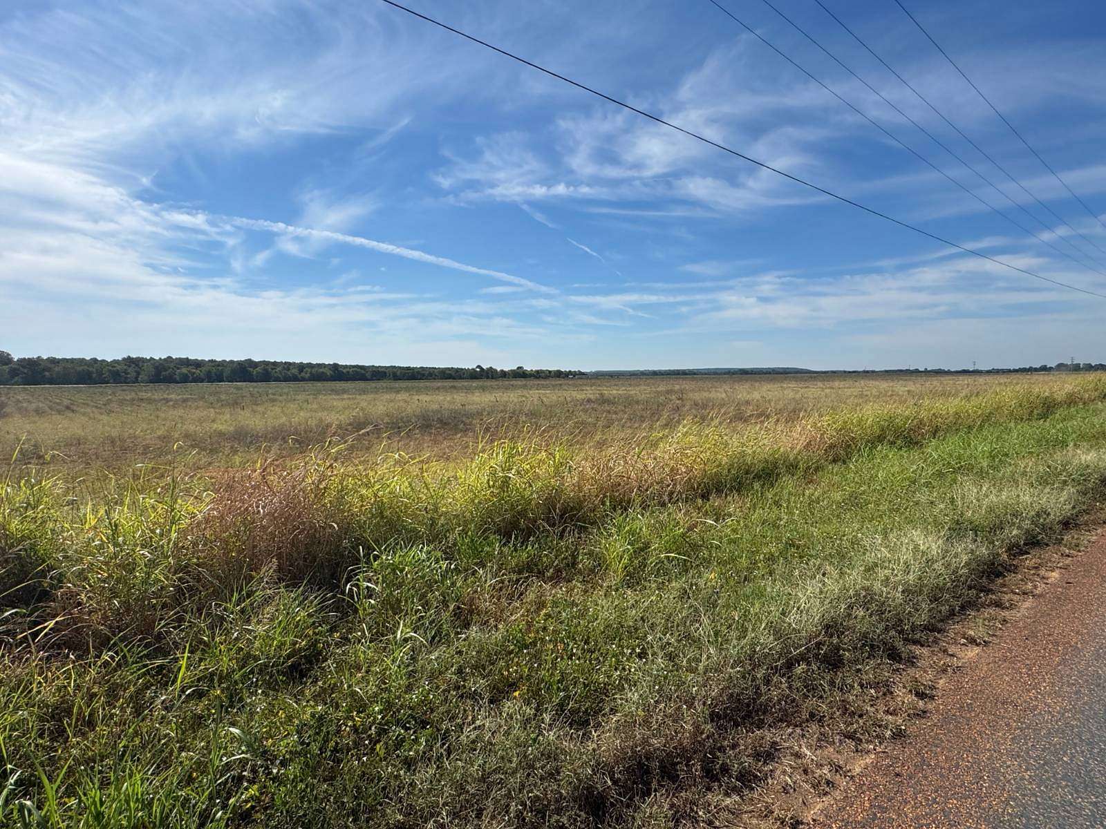 144 Acres of Land for Sale in Bradley, Arkansas