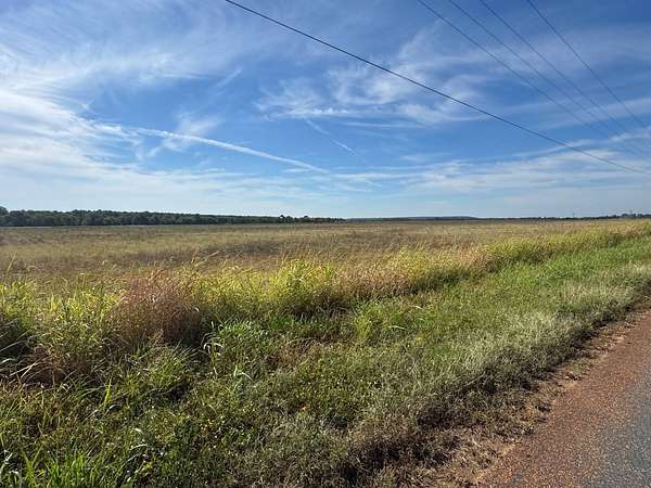 144 Acres of Land for Sale in Bradley, Arkansas
