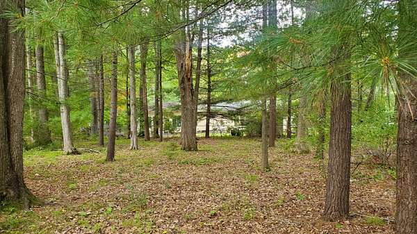 0.23 Acres of Residential Land for Sale in Prudenville, Michigan