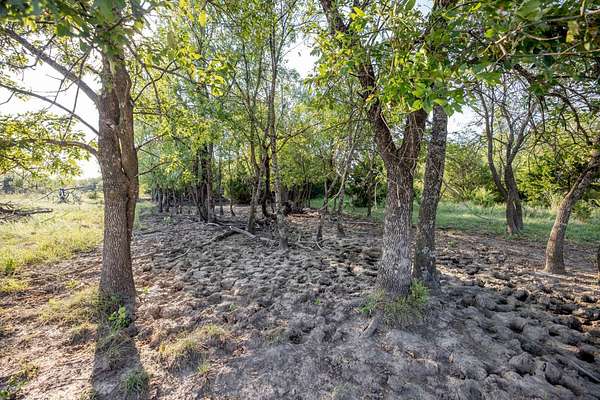 45.6 Acres of Land for Sale in Havana, Kansas
