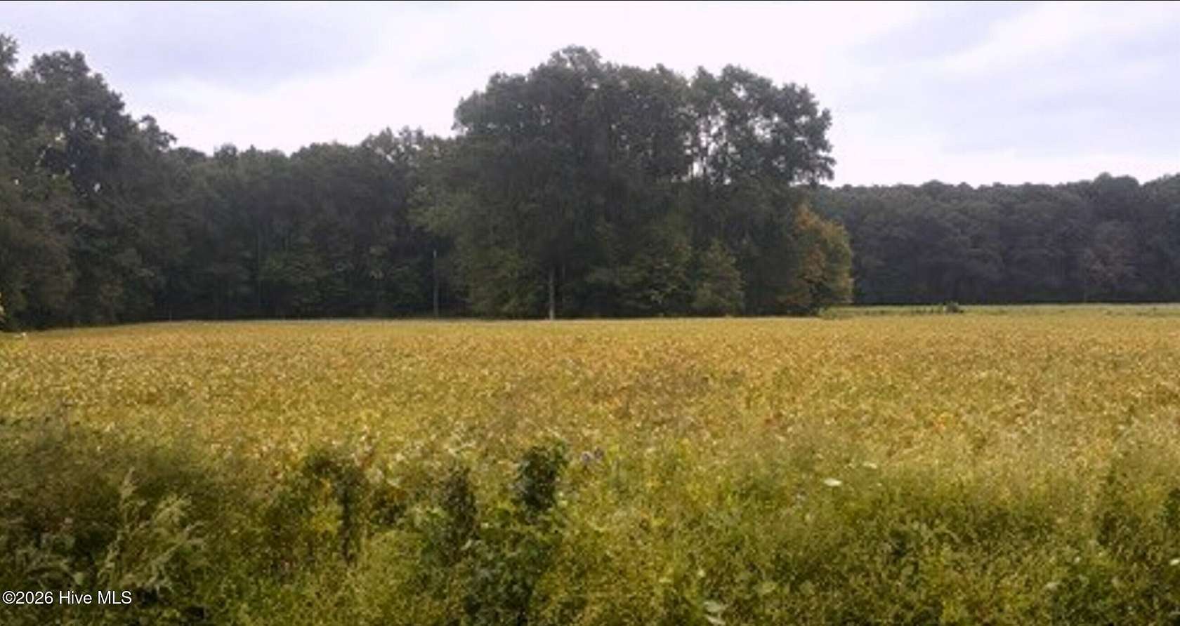 18.2 Acres of Land for Sale in Winterville, North Carolina