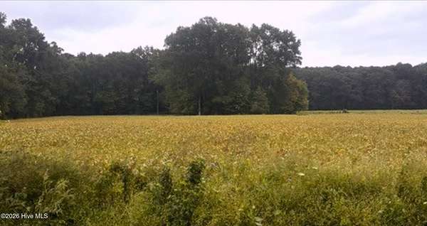 18.2 Acres of Land for Sale in Winterville, North Carolina
