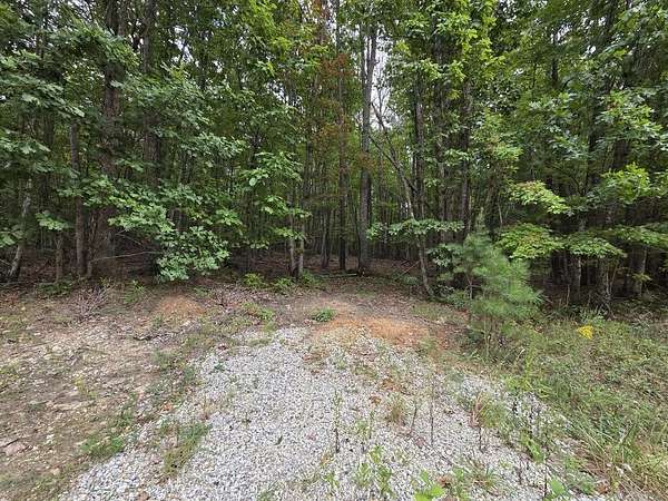 5.6 Acres of Land for Sale in Wingina, Virginia
