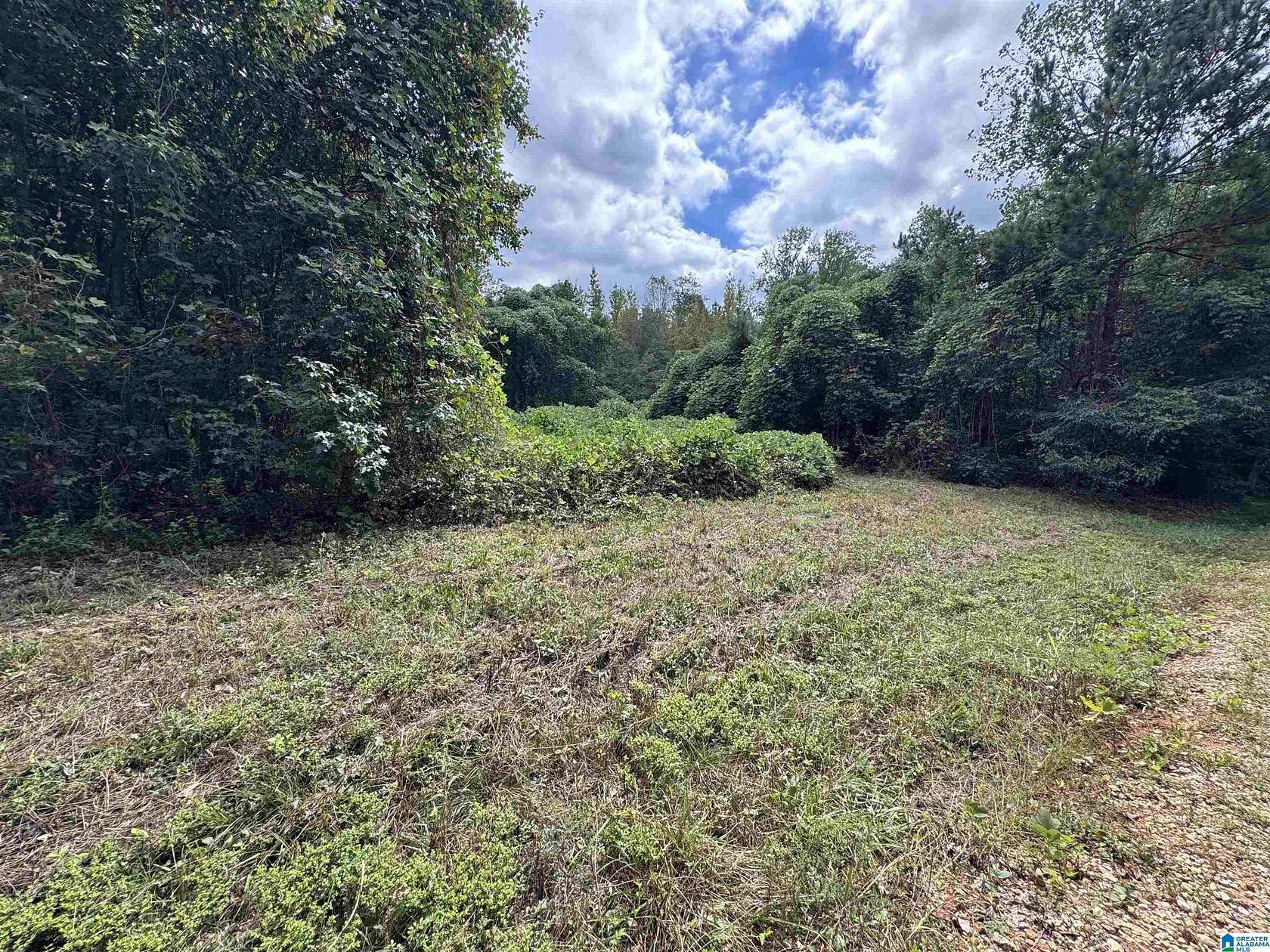 20 Acres of Recreational & Residential Land for Sale in Delta, Alabama