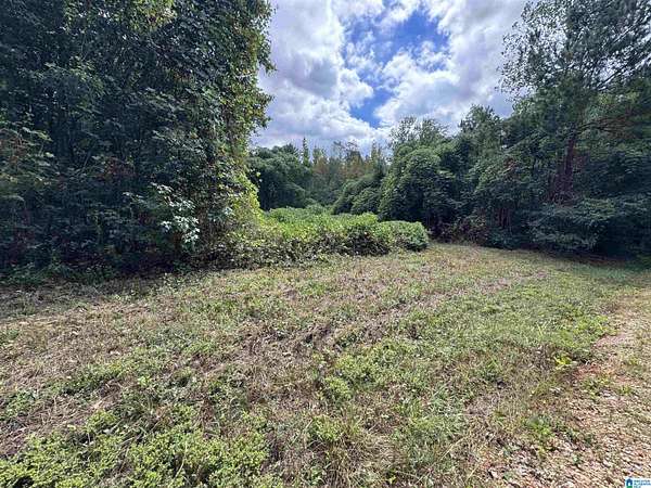 20 Acres of Recreational & Residential Land for Sale in Delta, Alabama