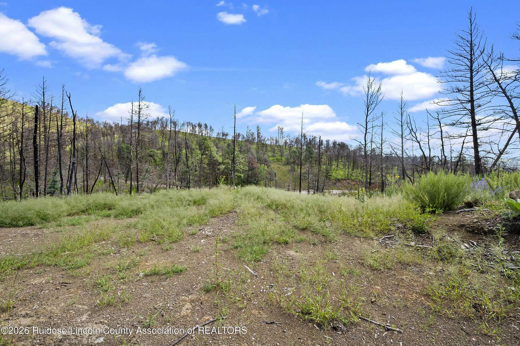 2.14 Acres of Land for Sale in Ruidoso, New Mexico