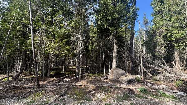 0.14 Acres of Land for Sale in Hessel, Michigan