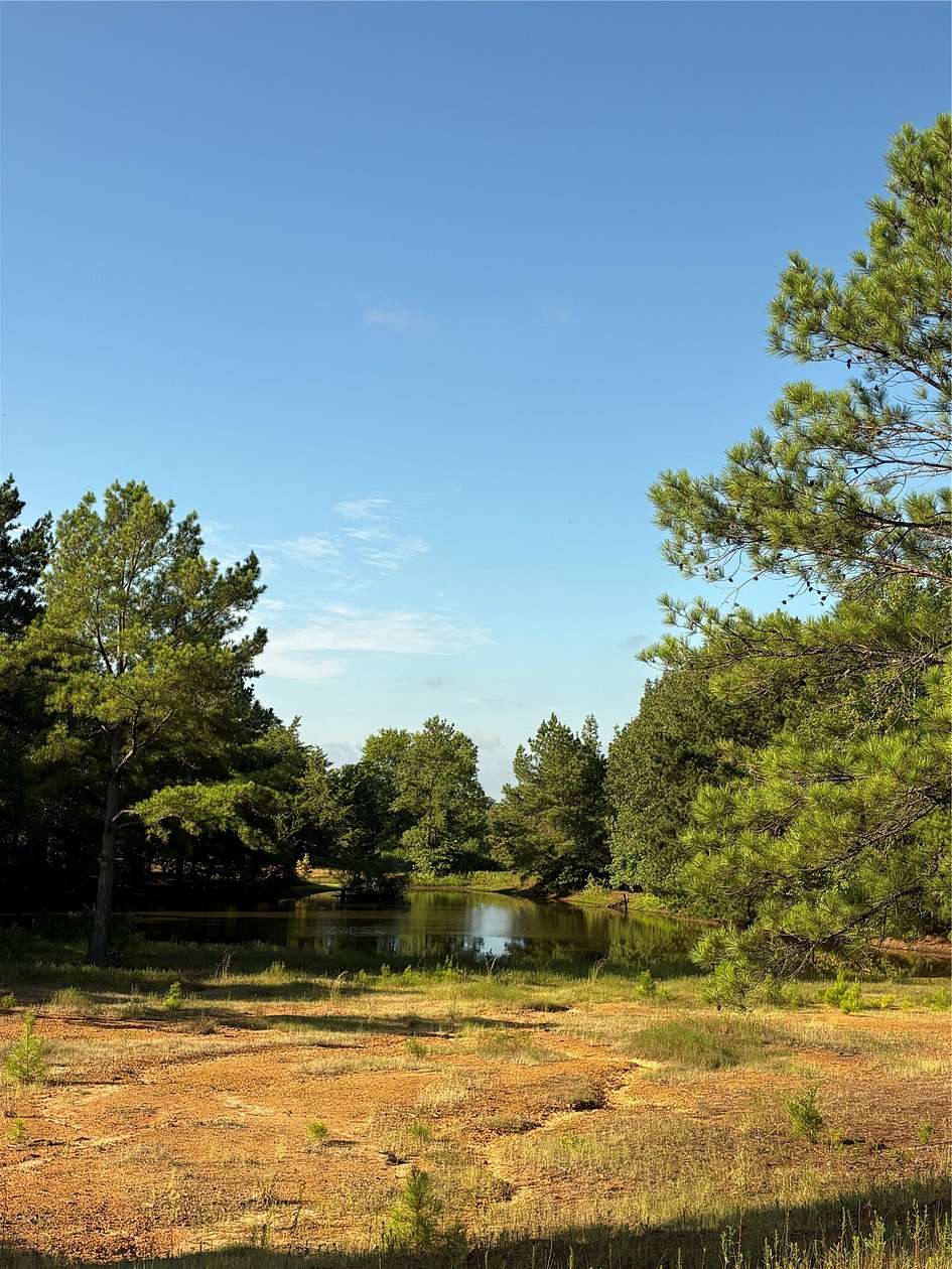 43 Acres of Land for Sale in Woodlawn, Texas