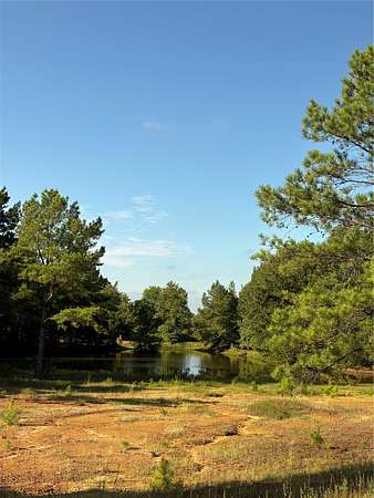 43 Acres of Land for Sale in Woodlawn, Texas
