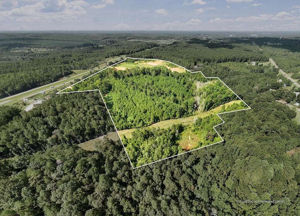 62 Acres of Land for Sale in Moselle, Mississippi