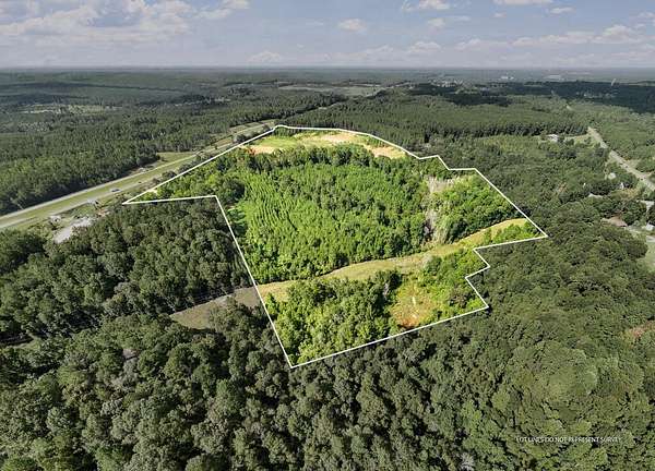 62 Acres of Land for Sale in Moselle, Mississippi