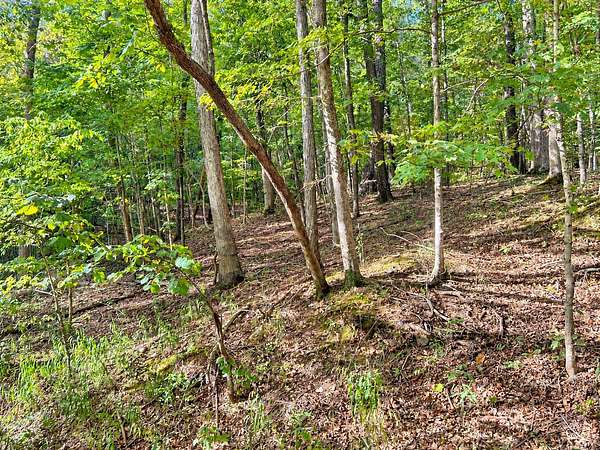 20.3 Acres of Recreational Land for Sale in Golconda, Illinois
