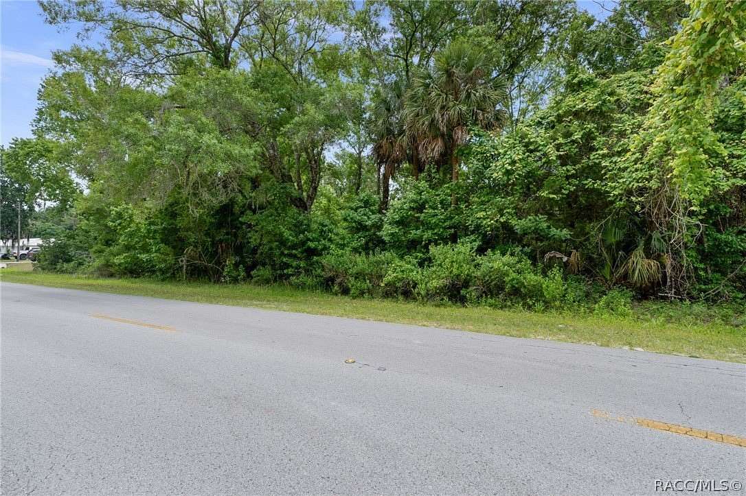 0.46 Acres of Land for Sale in Homosassa, Florida