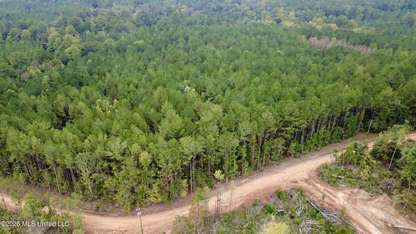 21 Acres of Recreational & Residential Land for Sale in Louisville, Mississippi
