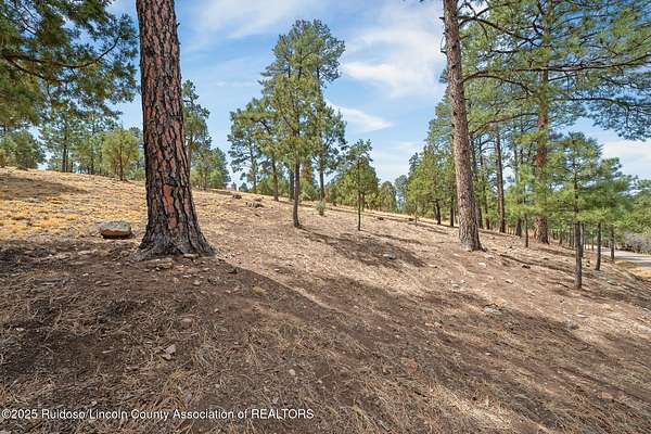 0.25 Acres of Residential Land for Sale in Alto, New Mexico